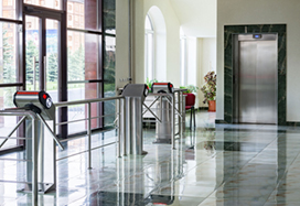 Ингушский государственный университет, Назрань