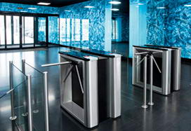 «Зима», Санкт-Петербург