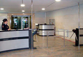 Госучреждение, Санкт-Петербург